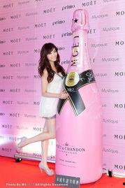 吴娟仪背景,从平凡到卓越的教育家之路